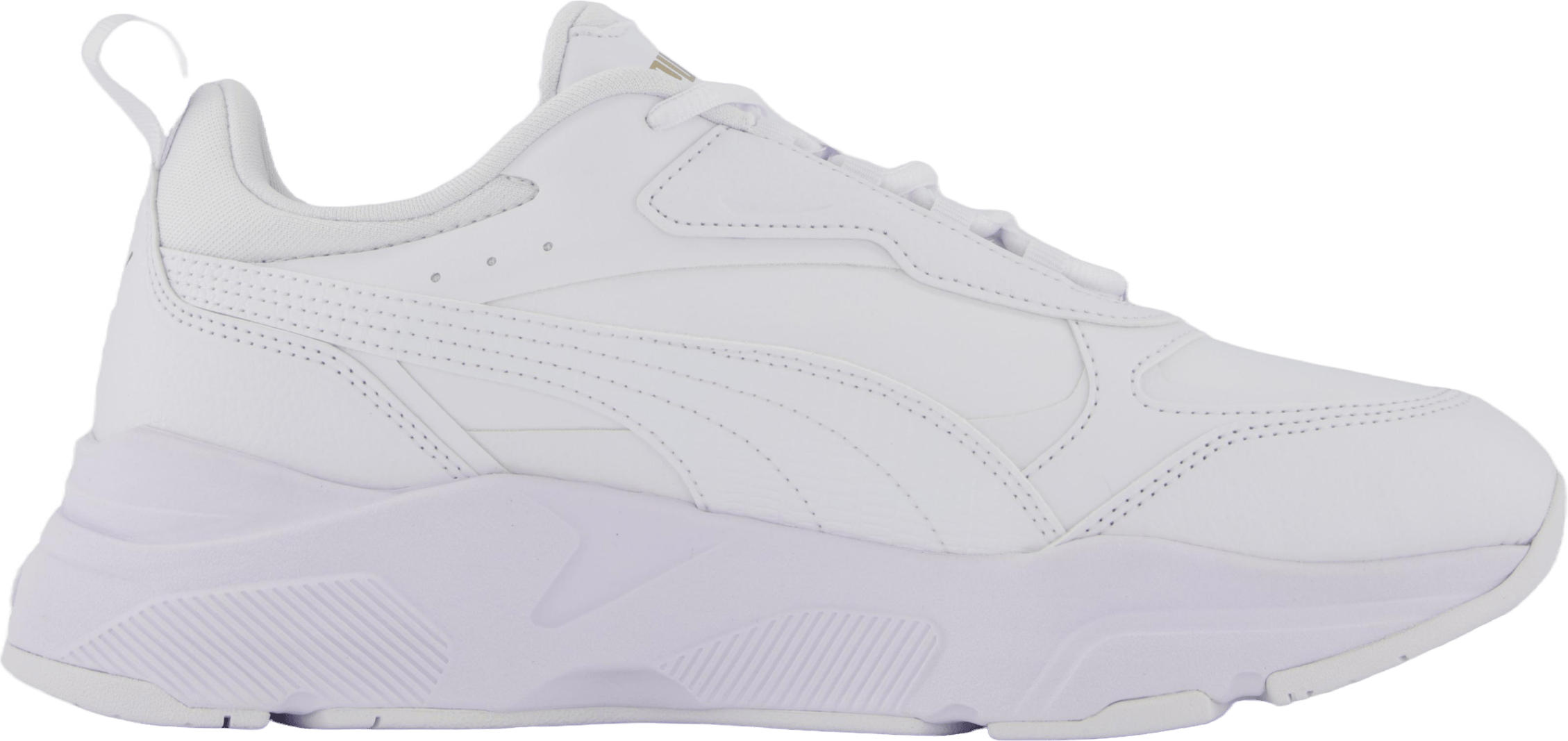 Cassia Sl Puma White-puma White-puma Tea - Bild 3