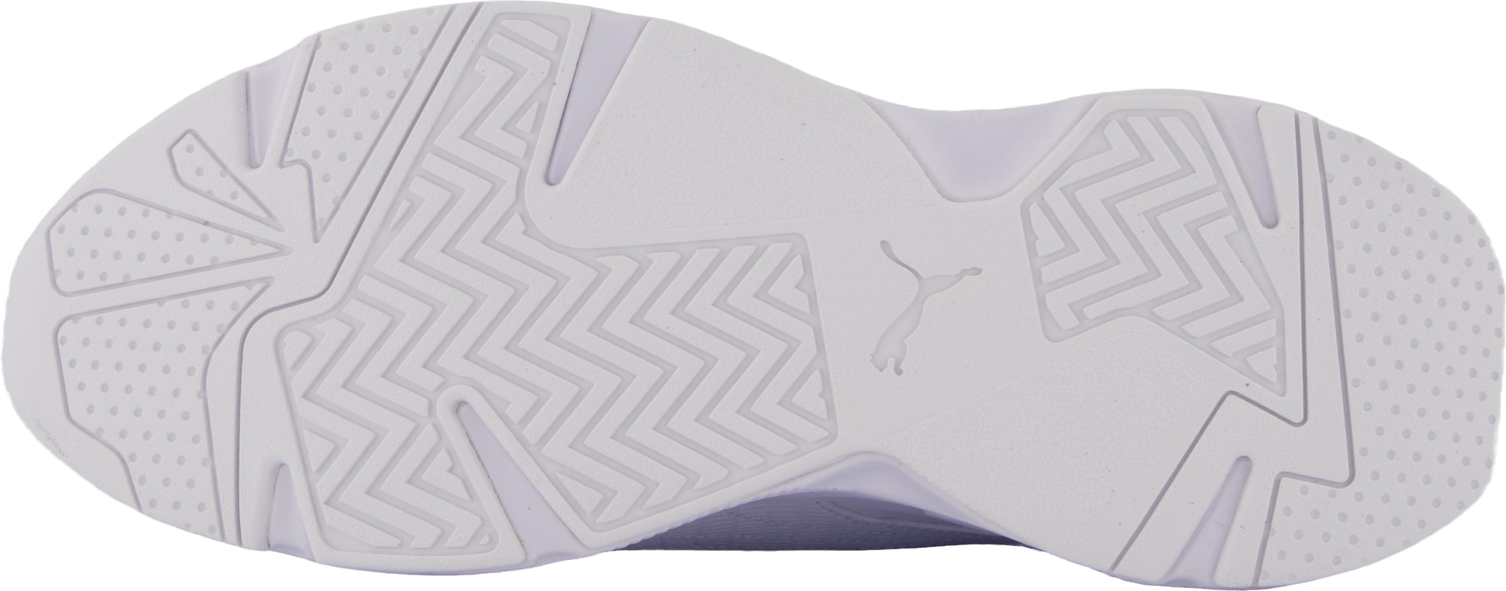 Cassia Sl Puma White-puma White-puma Tea - Bild 4