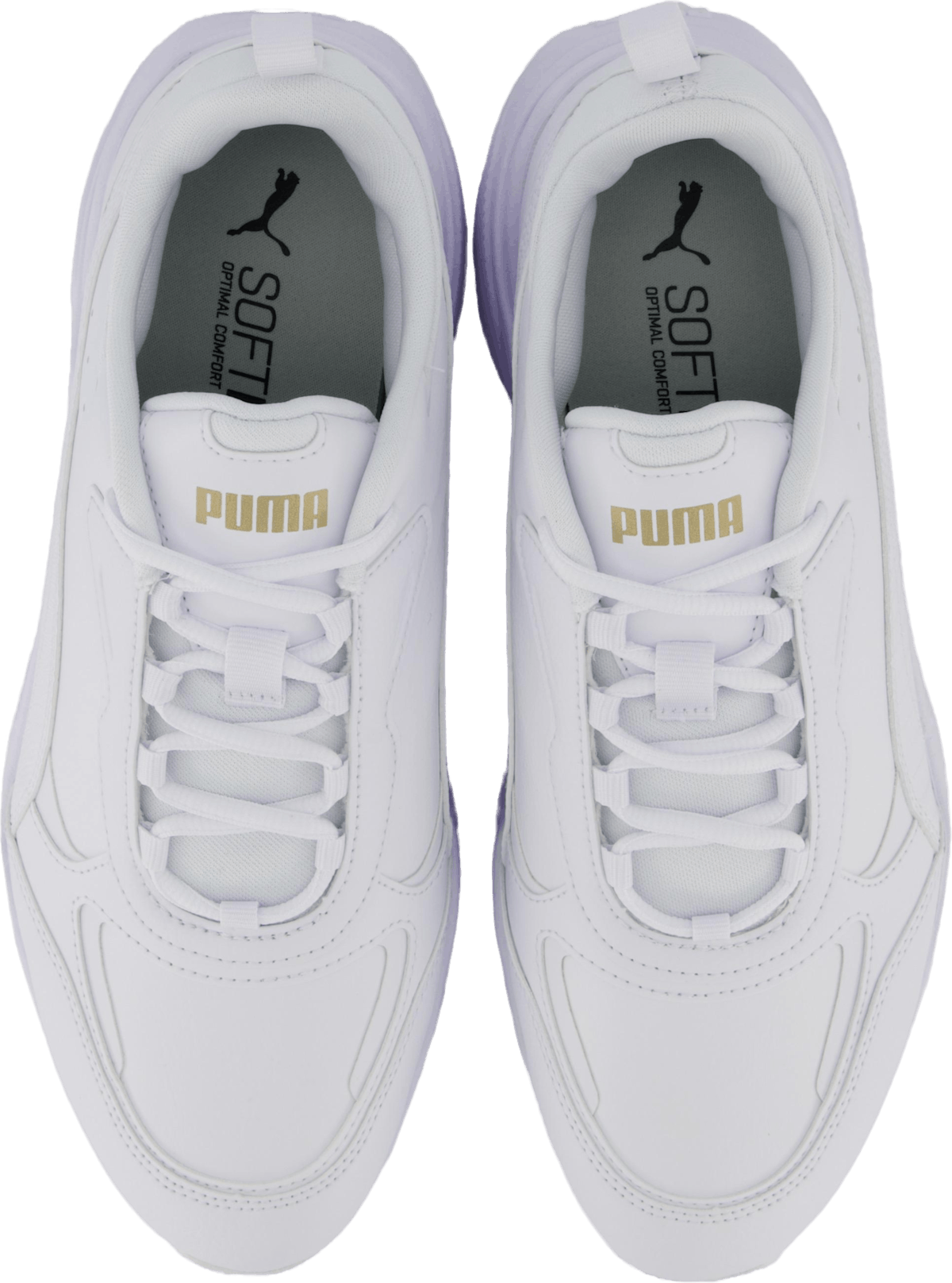 Cassia Sl Puma White-puma White-puma Tea