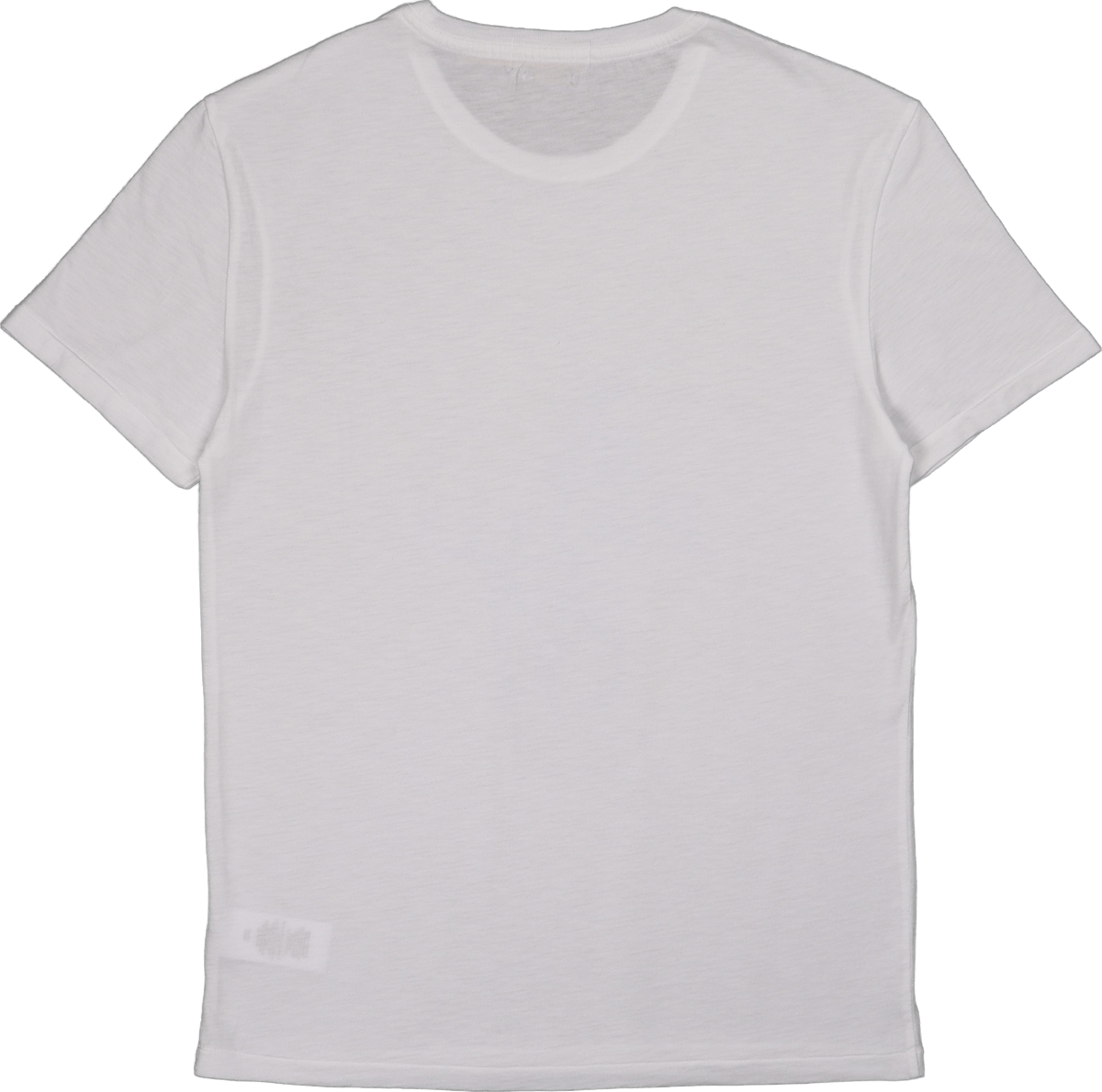 Sscncmslm1-short Sleeve-t-shir White