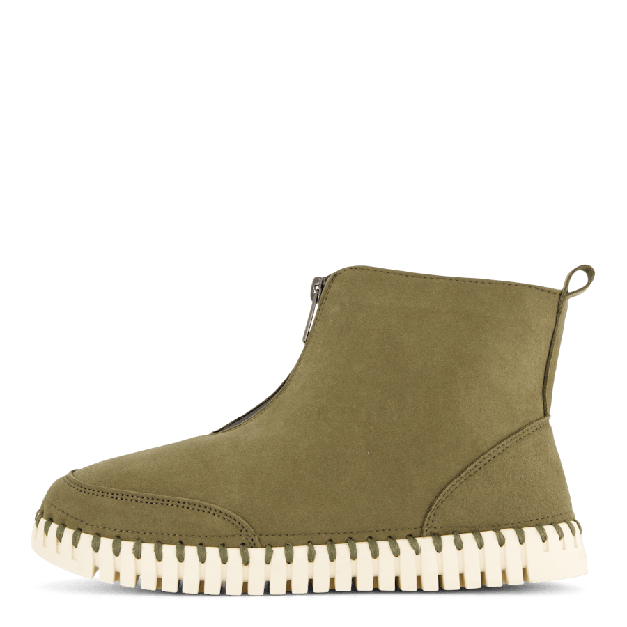 10 Tulip6071 Deep Olive