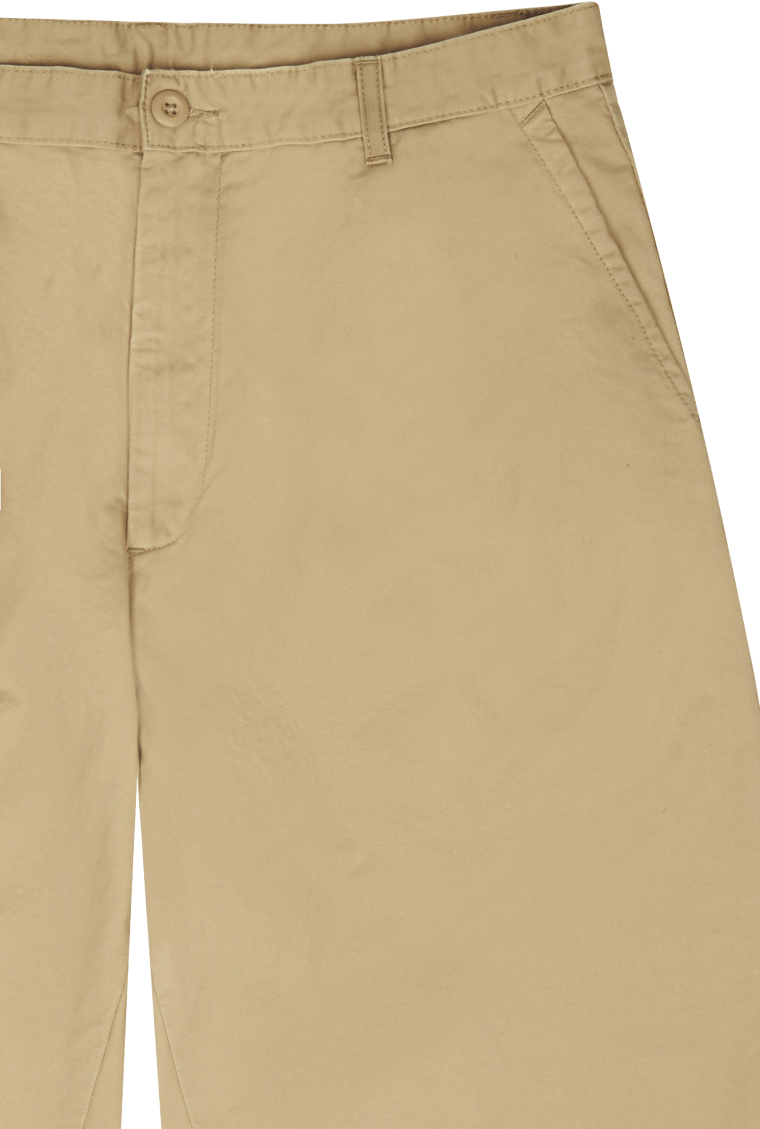 Alder Pant Ammonite - Bild 3