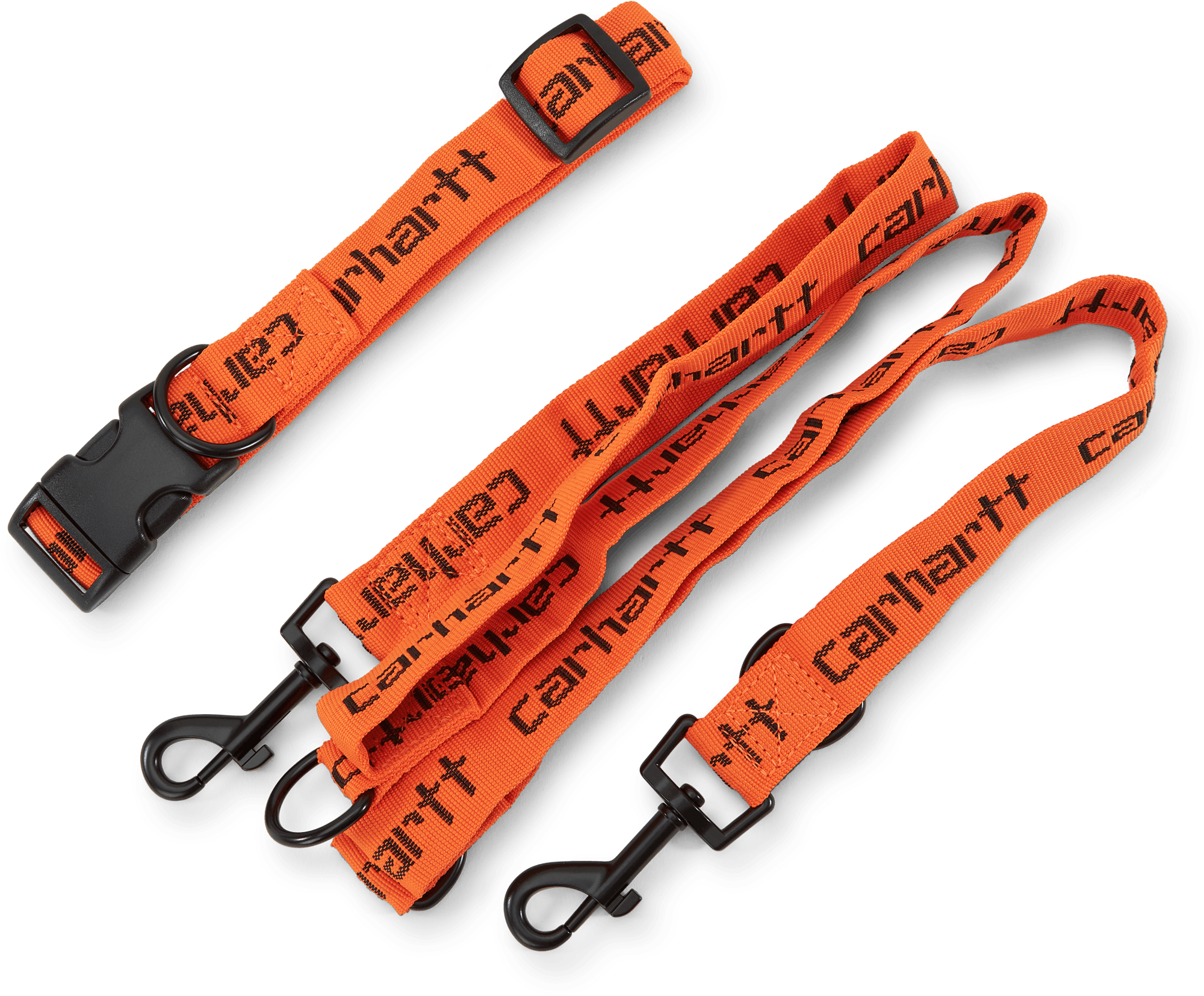 Script Dog Leash & Collar Carhartt Orange / Black, Unisex, varusteet, muut tarvikkeet, Monivärinen, ONESIZE