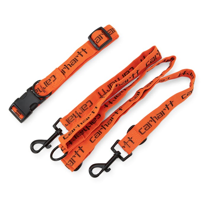 Script Dog Leash & Collar Carhartt Orange / Black, Unisex, varusteet, muut tarvikkeet, Monivärinen, ONESIZE