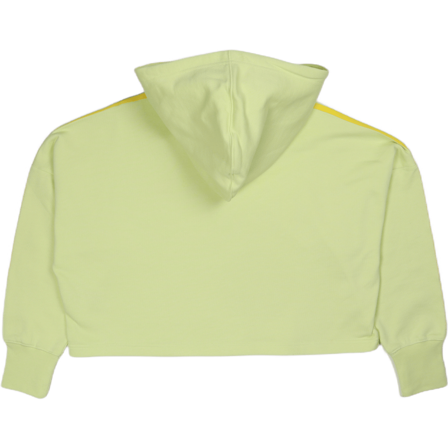 Sweatshirt Yellow - Bild 4