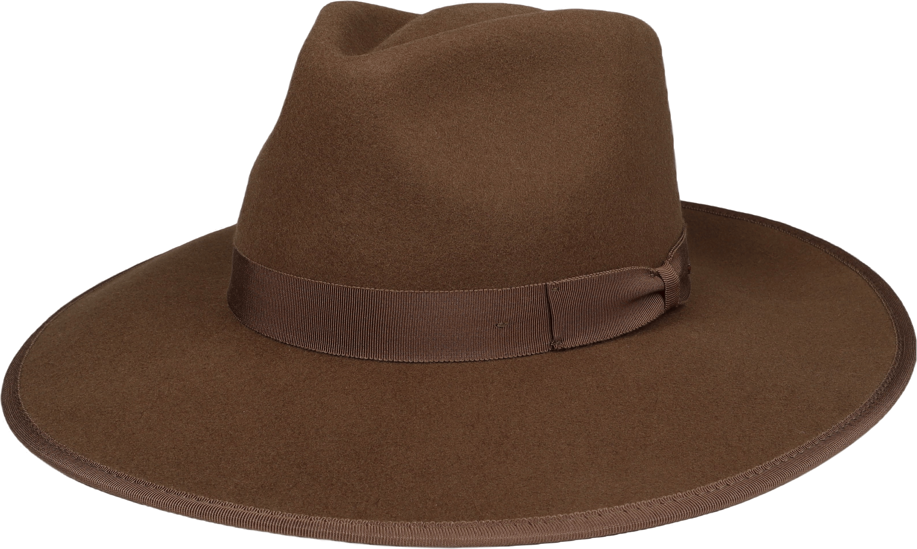 Jo Rancher Desert Palm