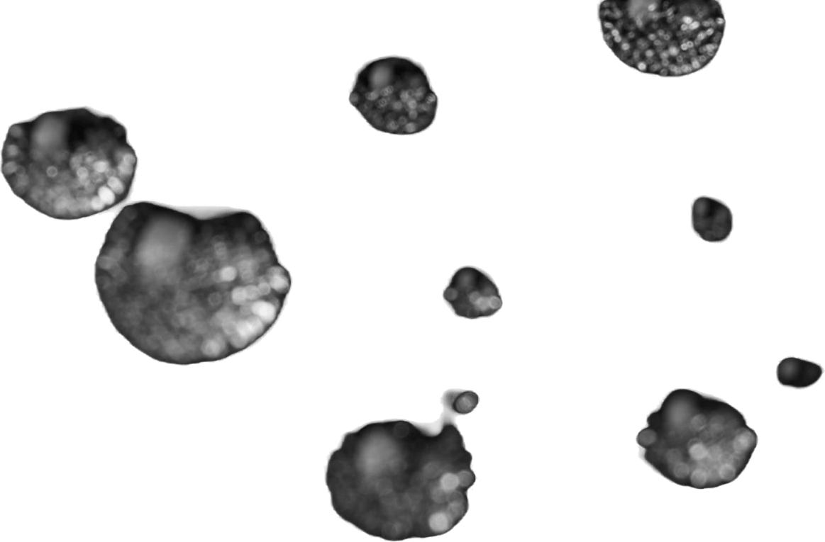 Oikotie Black - Bild 3