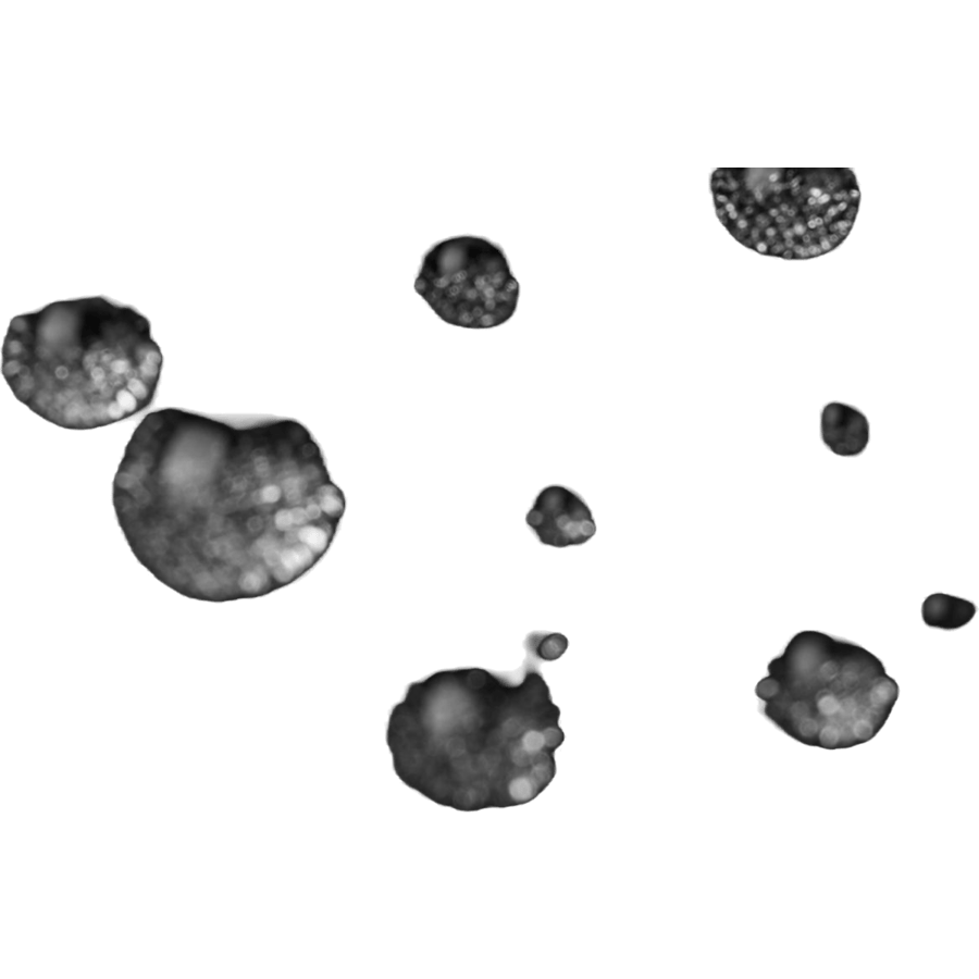 Oikotie Black - Bild 3