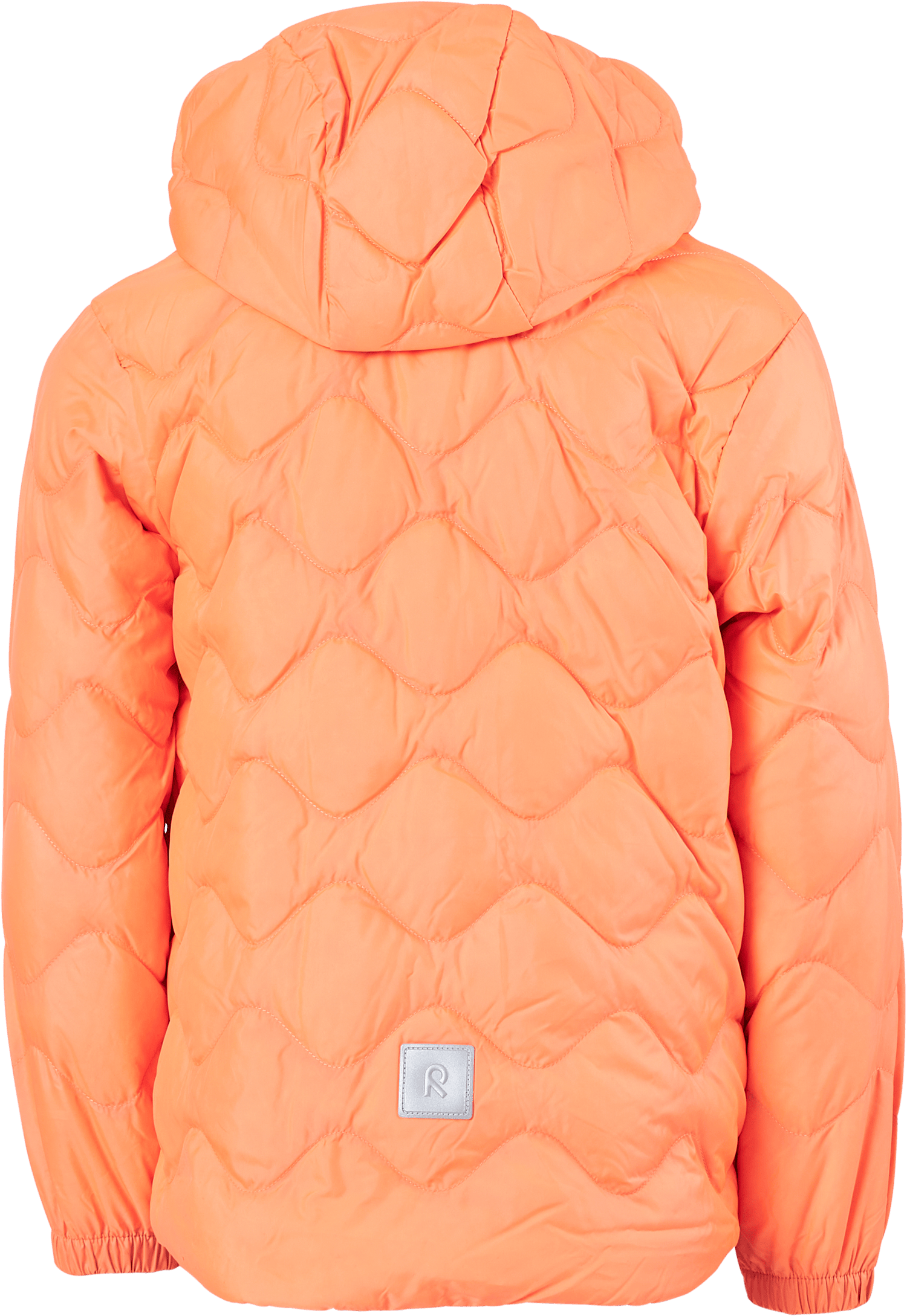 Fossila Neon Salmon - Bild 3