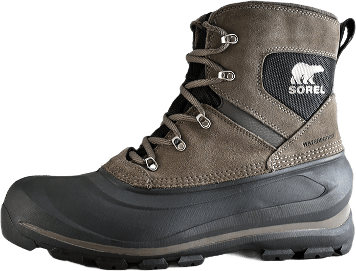 Buxton Lace Major / Black