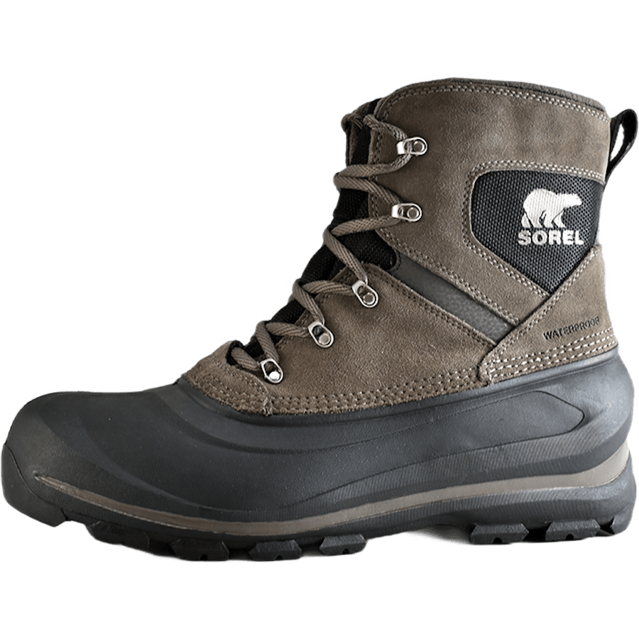 Buxton Lace Major / Black