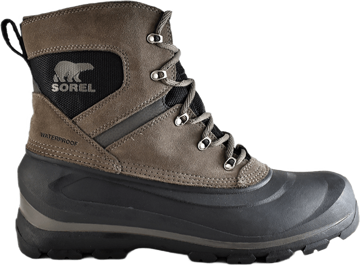 Buxton Lace Major / Black - Bild 2