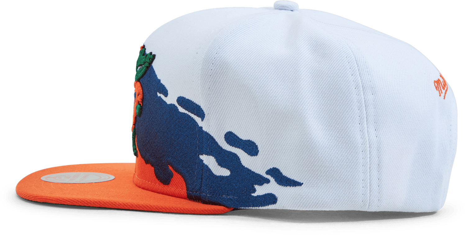 Gators Paintbrush Snapback NCAA - Bild 2