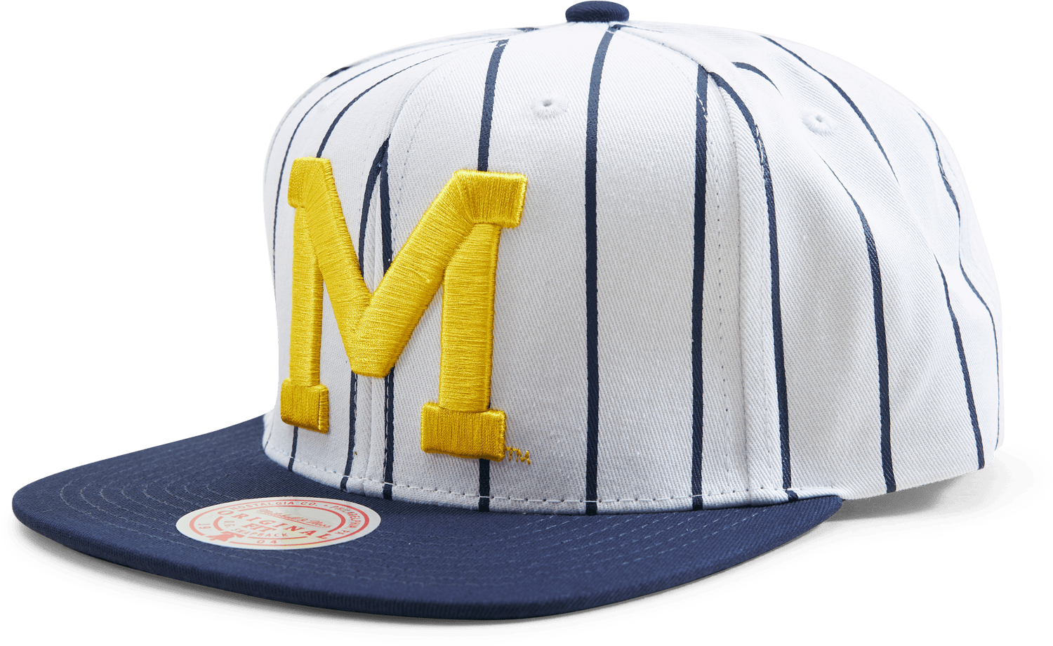 Michigan Newco Snapback
