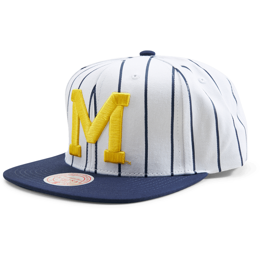 Michigan Newco Snapback