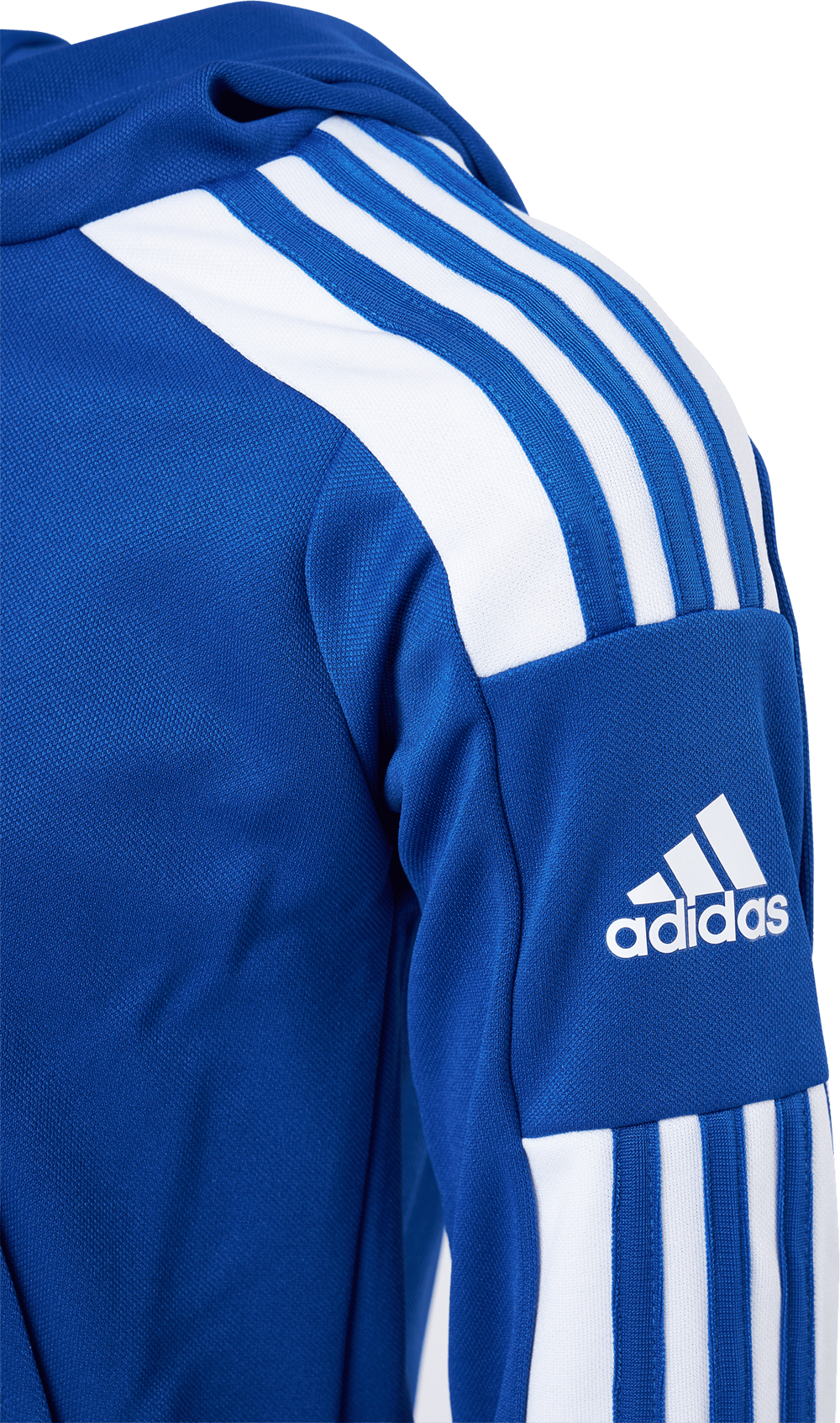 Sq21 Hood Y Royblu/white - Bild 5