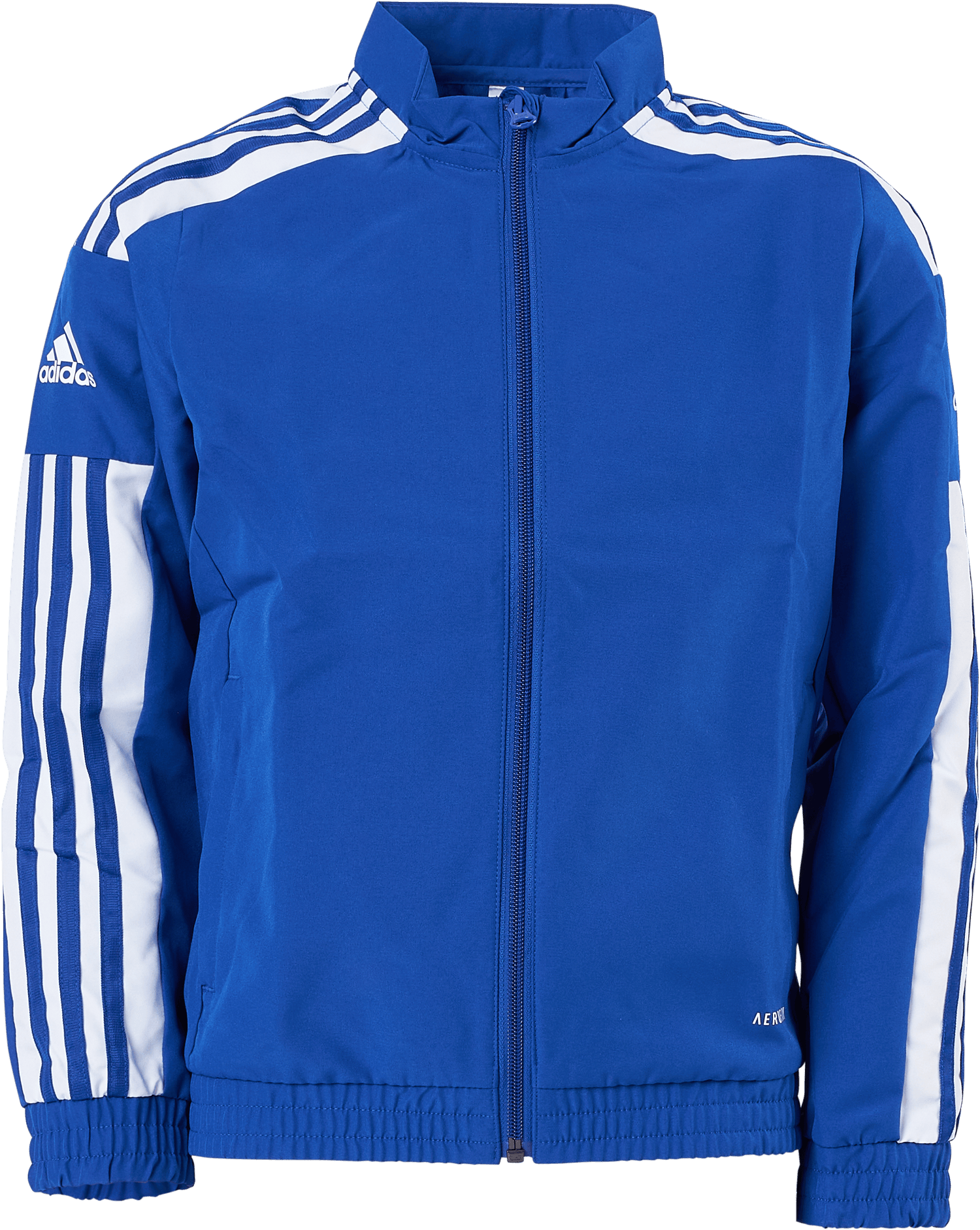 Sq21 Pre Jkt Y Royblu/white, Unisex, Kleding, trainingspakken en sets, Voetbal, Blauw, 152