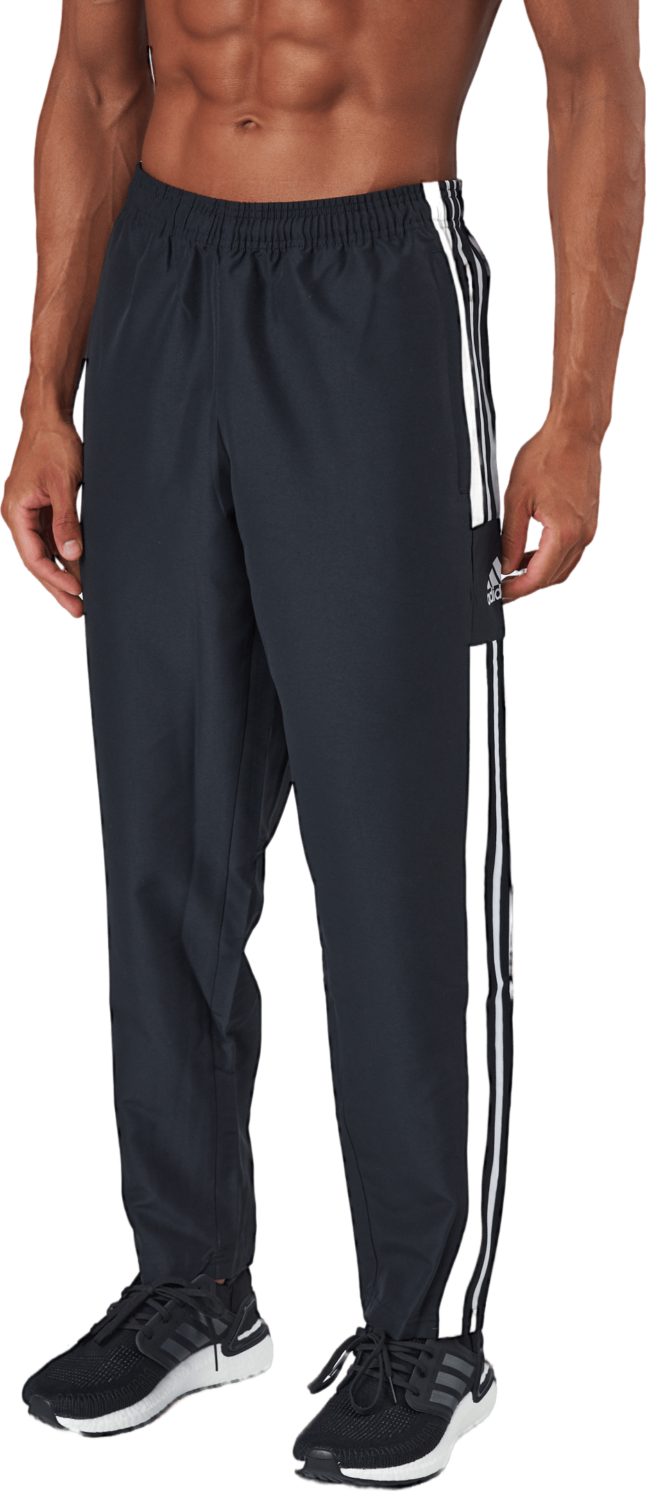 Squadra 21 Presentation Tracksuit Bottoms Black, Male, Apparels, Pants, Soccer, Black, L