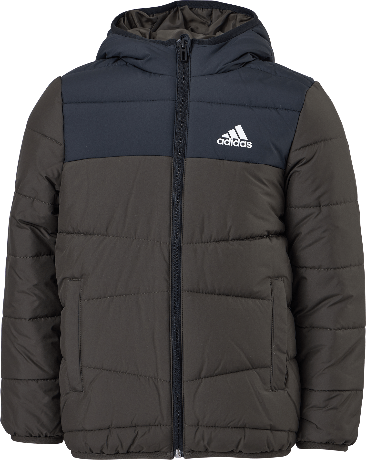 Padded Winter Jacket Shaoli, Unisex, Apparels, jackets, Workout, Black, 140