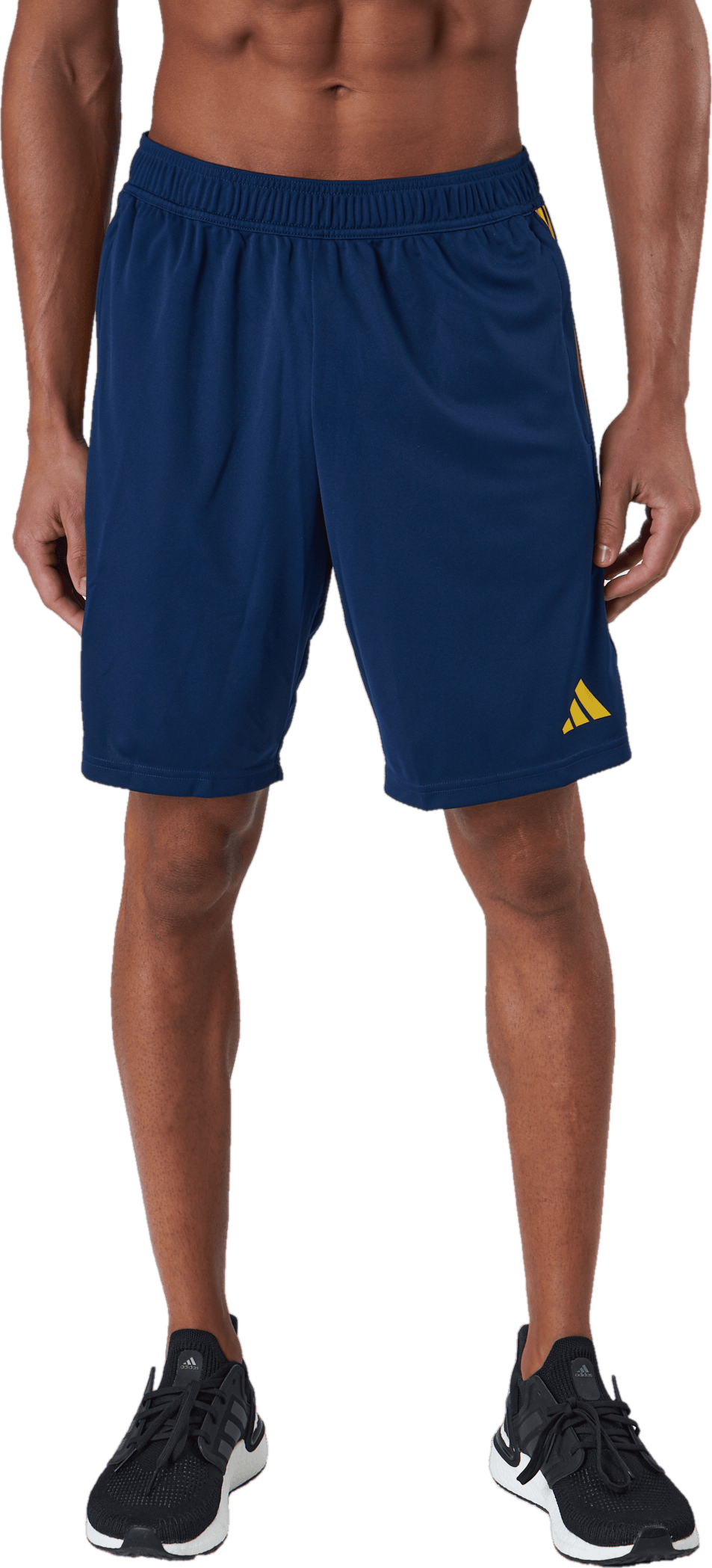 Svff Tr Sho Tenabl/eqtyel