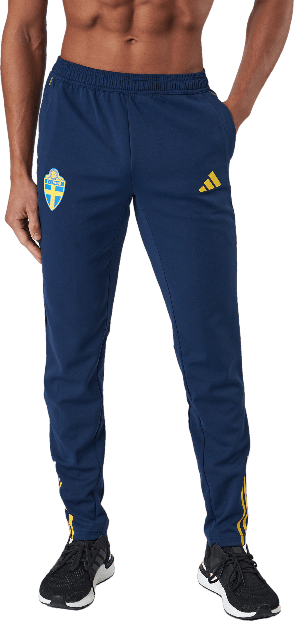 Svff Tr Pnt Y Tenabl/eqtyel, Unisex, Apparels, Pants, Soccer, Blue, 164