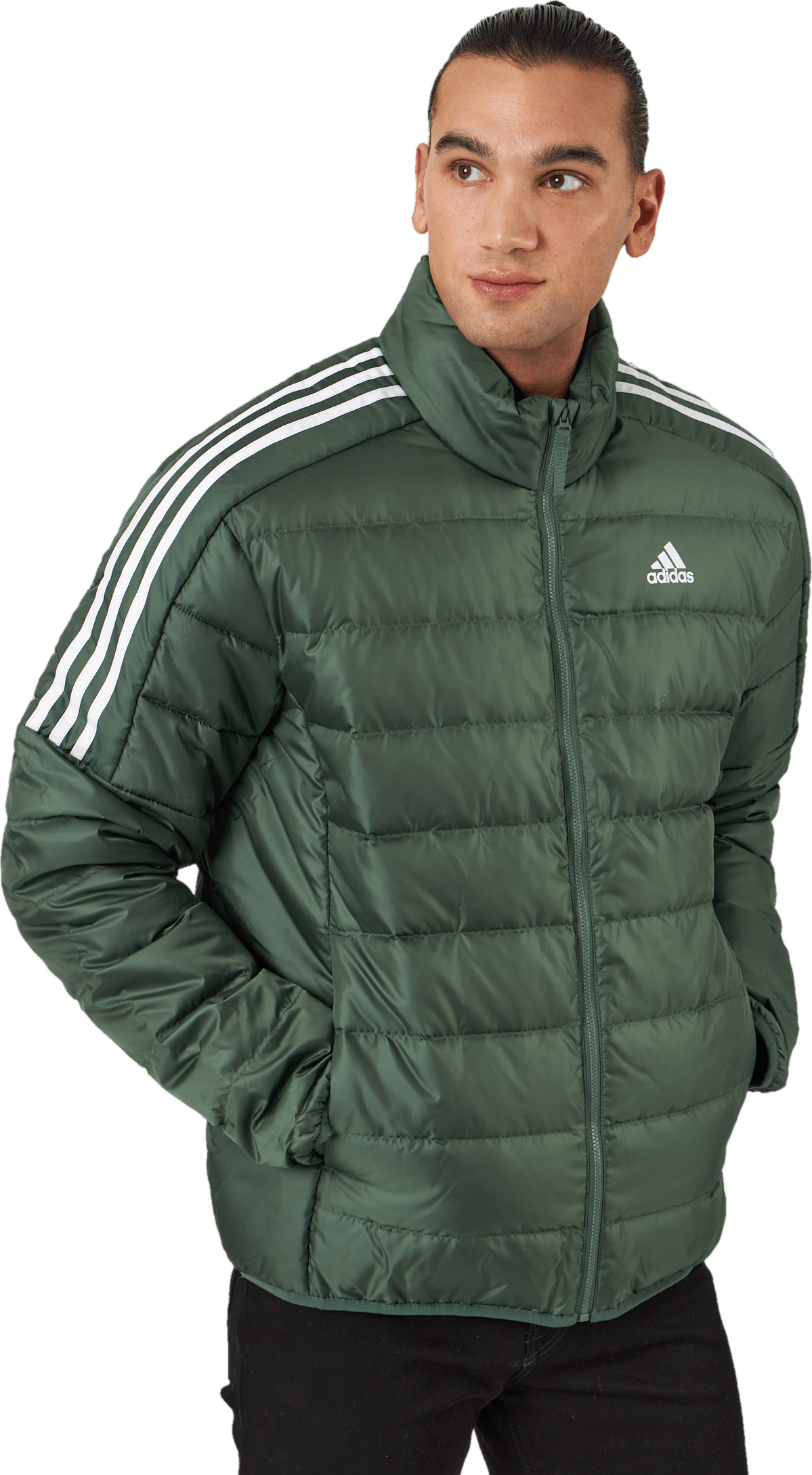 Ess Down Jacket Greoxi, Male, Apparels, jackets, Green, XXL