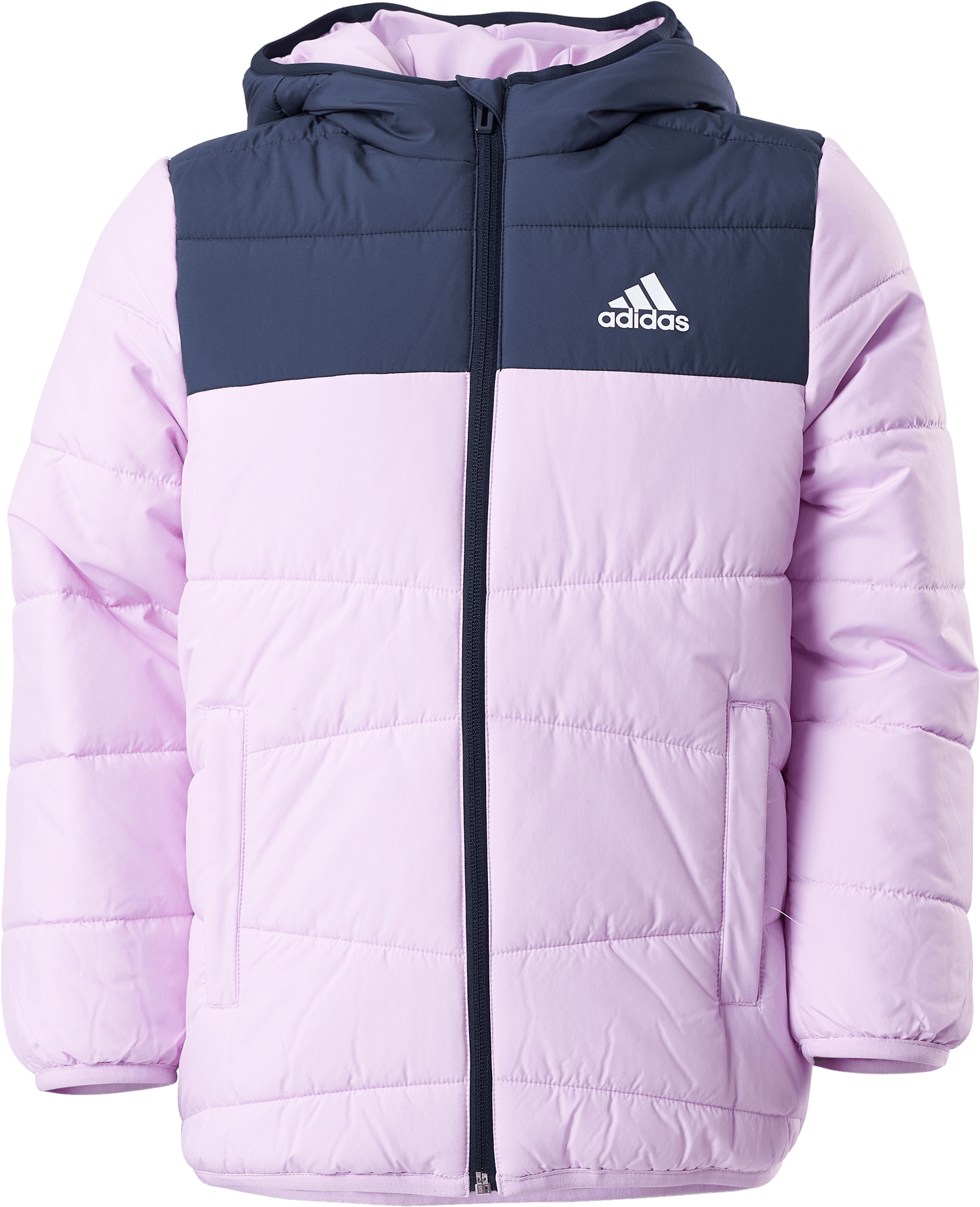 Padded Winter Jacket Blilil, Unisex, Odevy, bundy, Posilovať, Fialová, 152