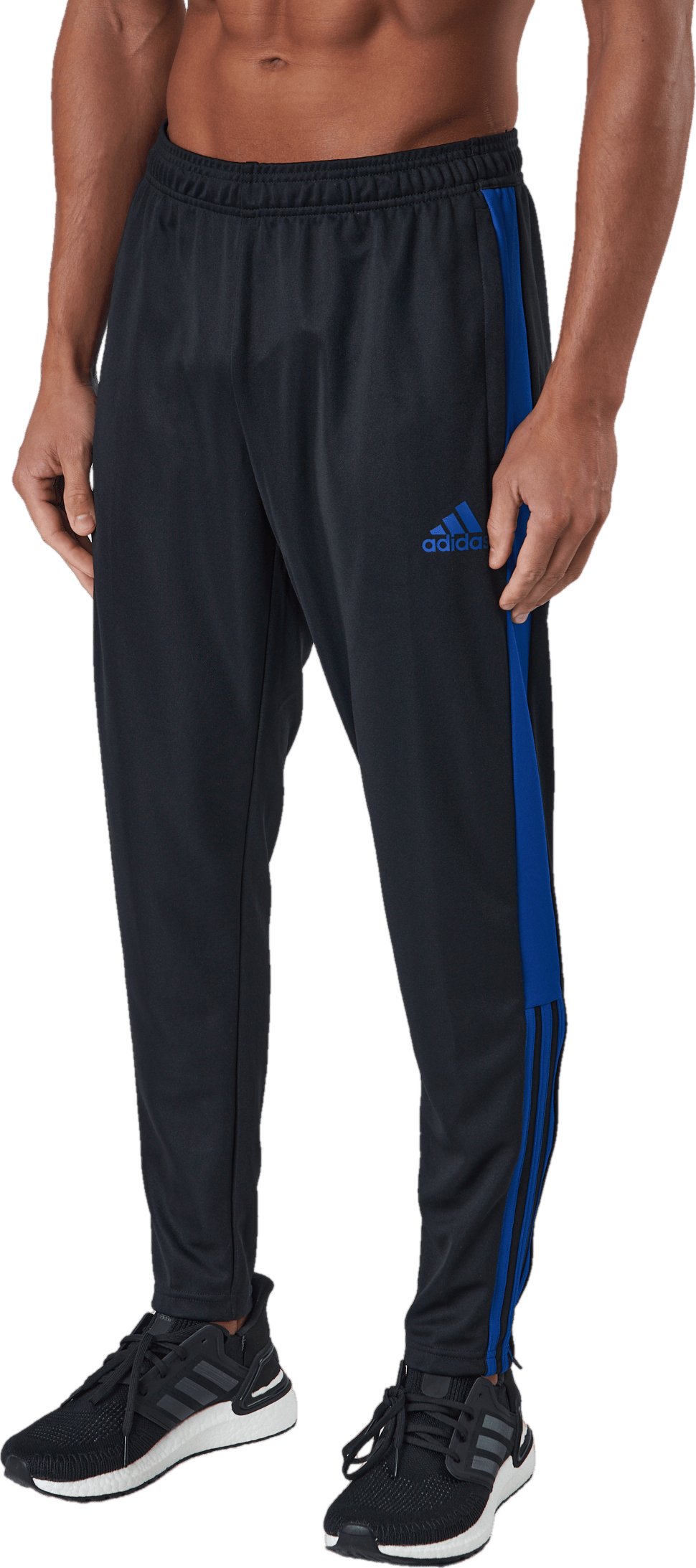 Tiro Tr Pnt Es Black/royblu