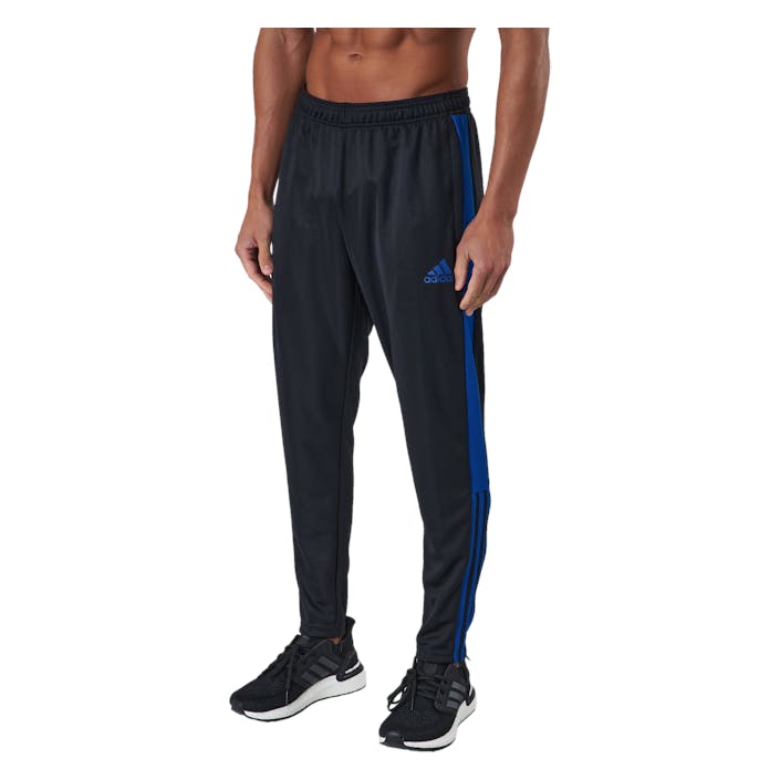 Tiro Tr Pnt Es Black/royblu, Male, Odzież, Spodnie, Piłka nożna, Czarny, XL