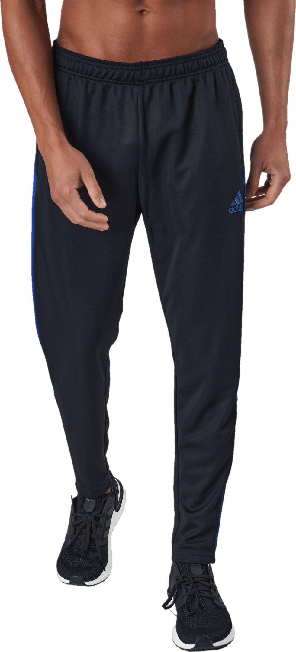 Tiro Tr Pnt Es Black/royblu - Bild 2