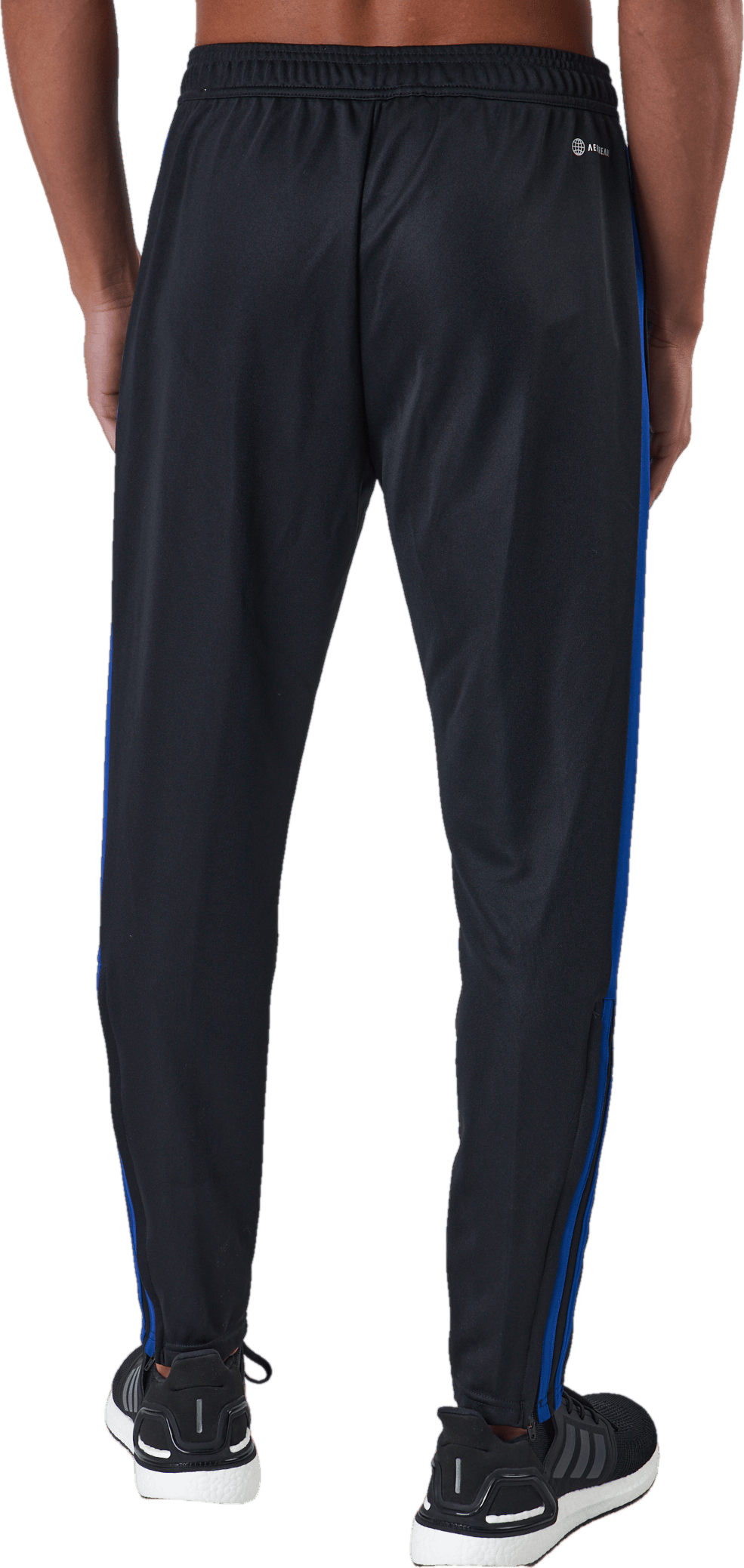 Tiro Tr Pnt Es Black/royblu - Bild 3