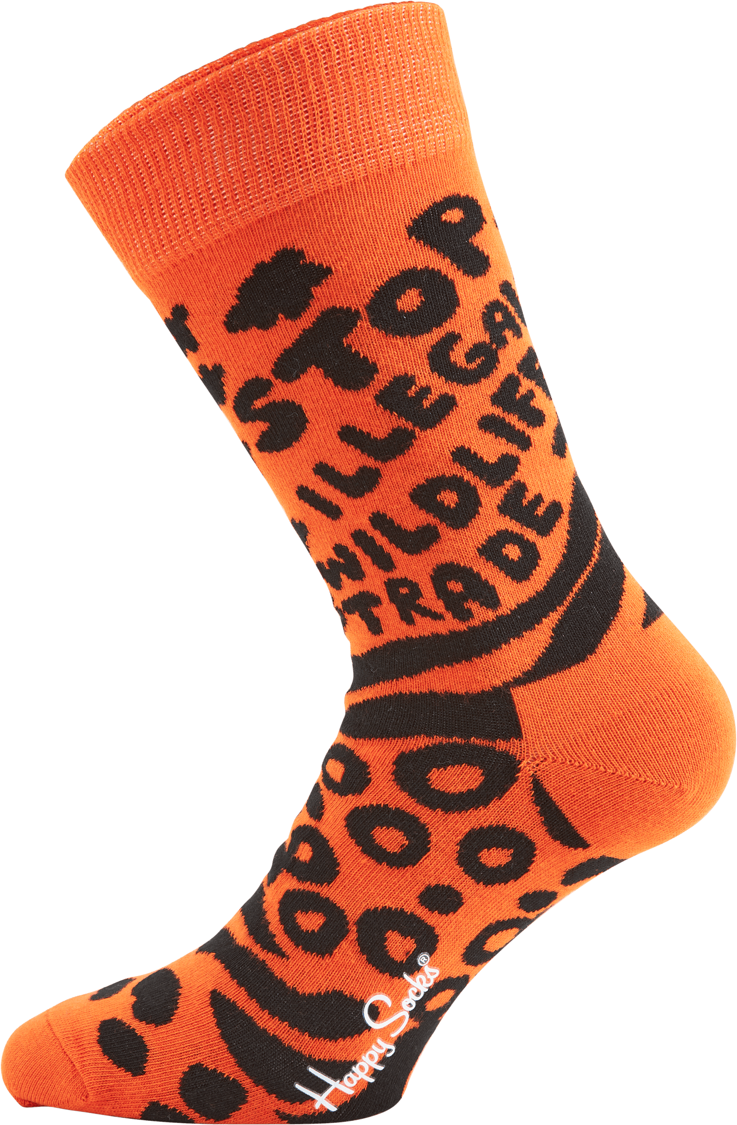 Wwf 4-pack Gift Set Multi