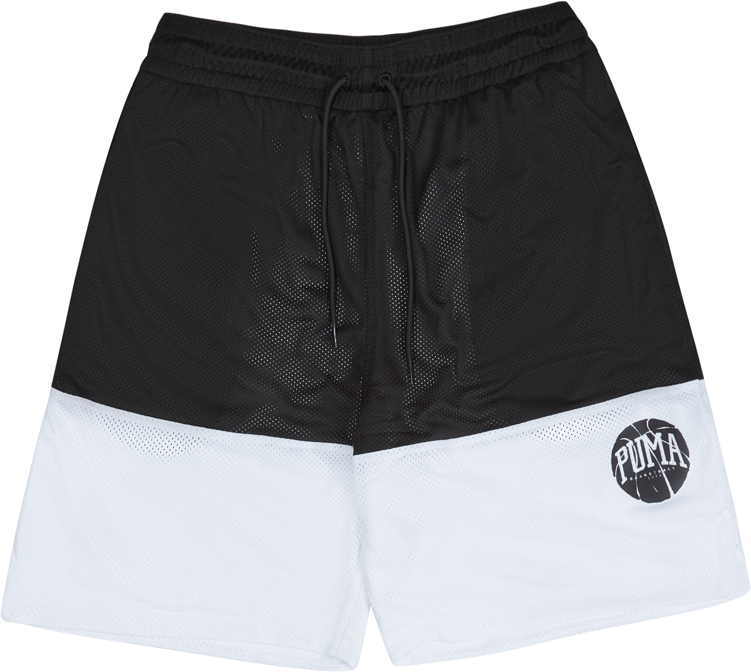 Fundamentals Short Puma