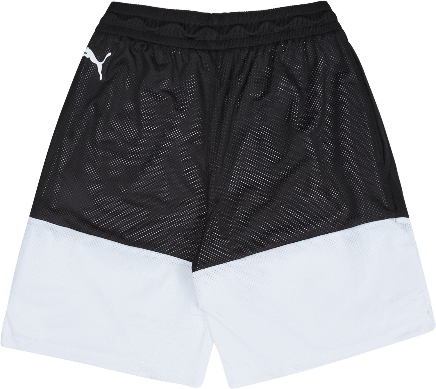 Fundamentals Short Puma - Bild 2