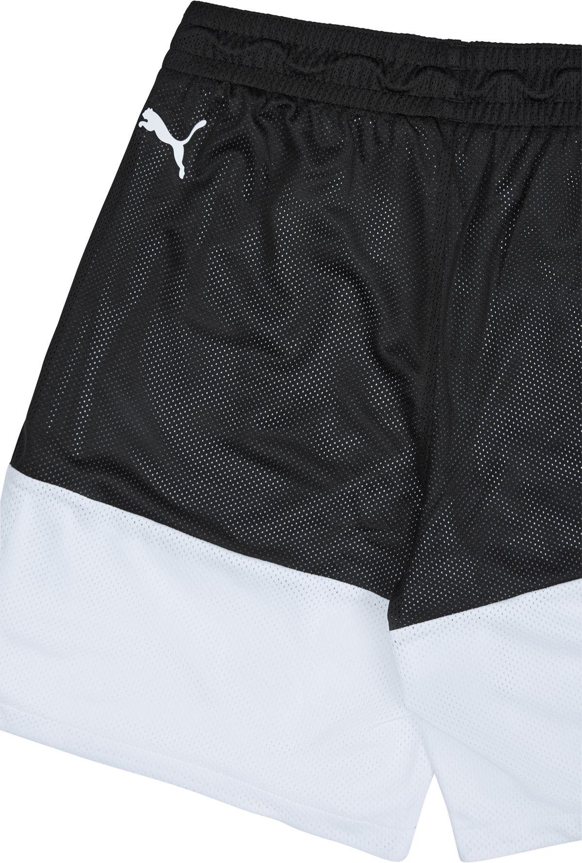 Fundamentals Short Puma - Bild 4