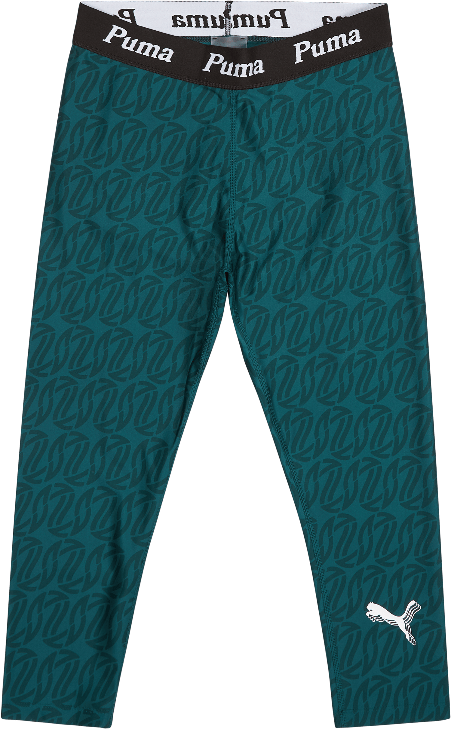 Women’s Stewie Legging