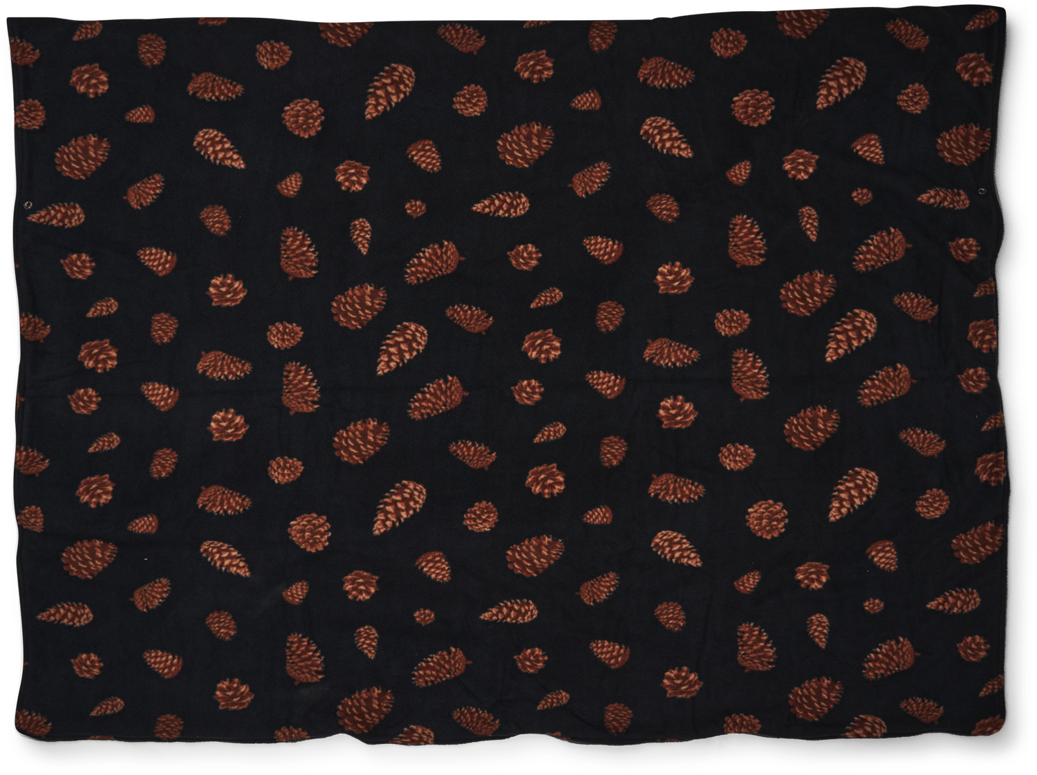 Hibernator Pine Cones - Bild 6