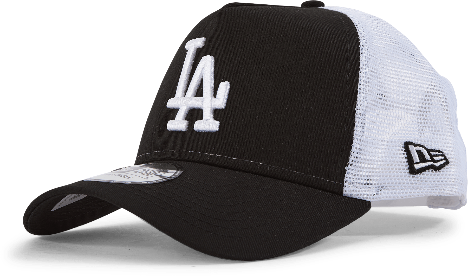 Clean Trucker Los Angeles Dodg