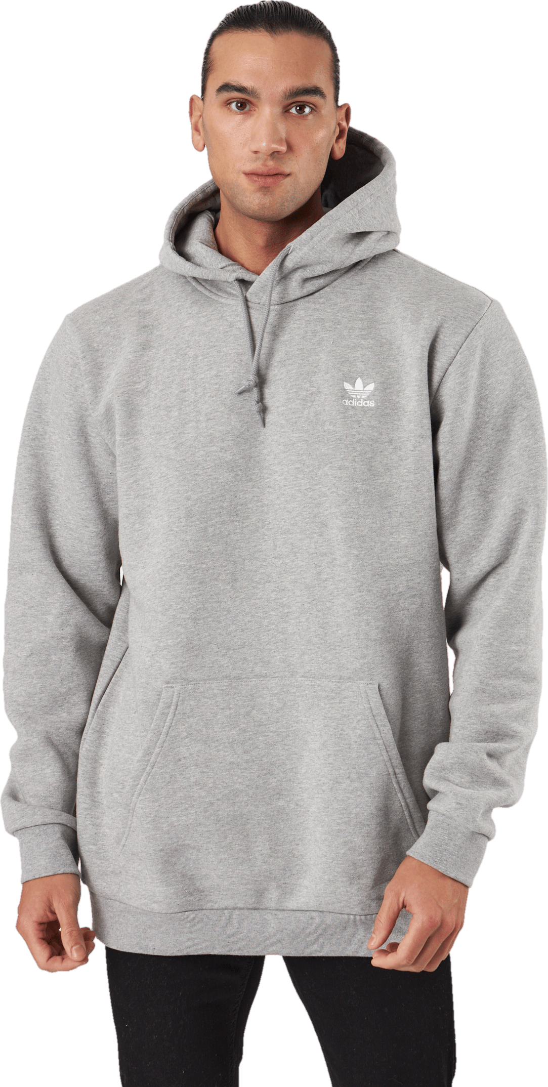 Essential Hoody Grey, Male, Ropa, sudaderas con capucha y sudaderas, Gris, L/Long