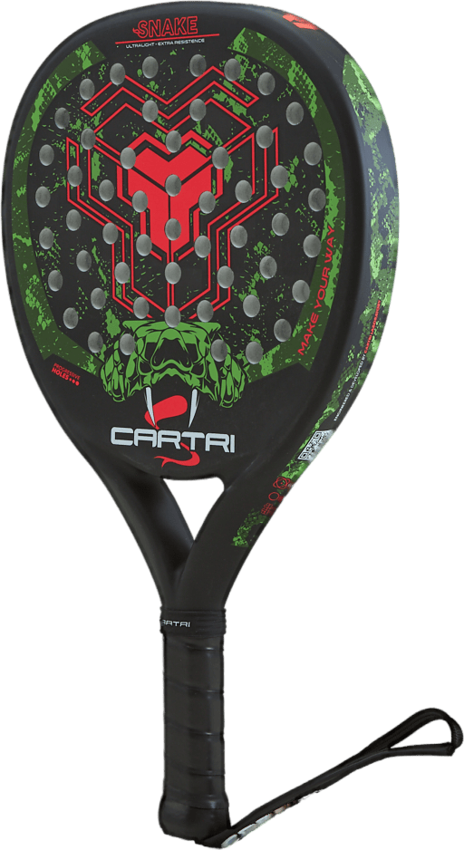 Snake Black/green/red