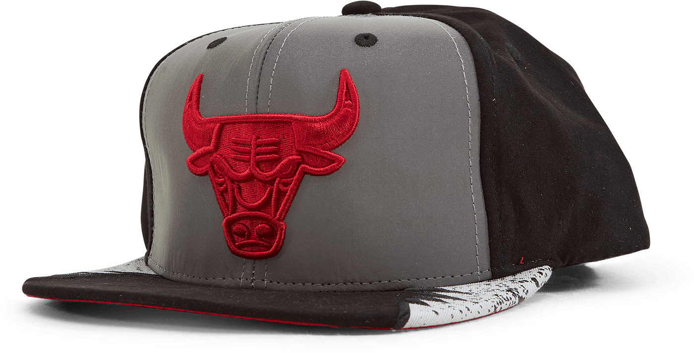 Bulls Day 5 Snapback