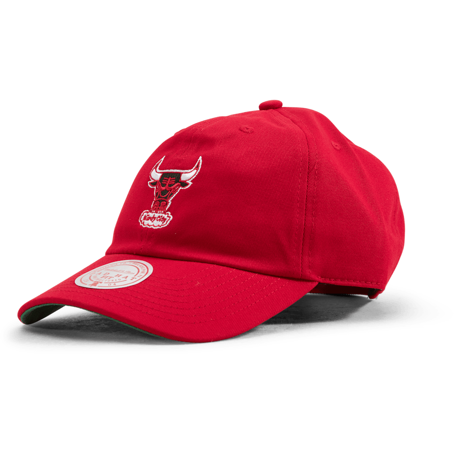 Bulls Team Ground 2.0 Dad Strapback