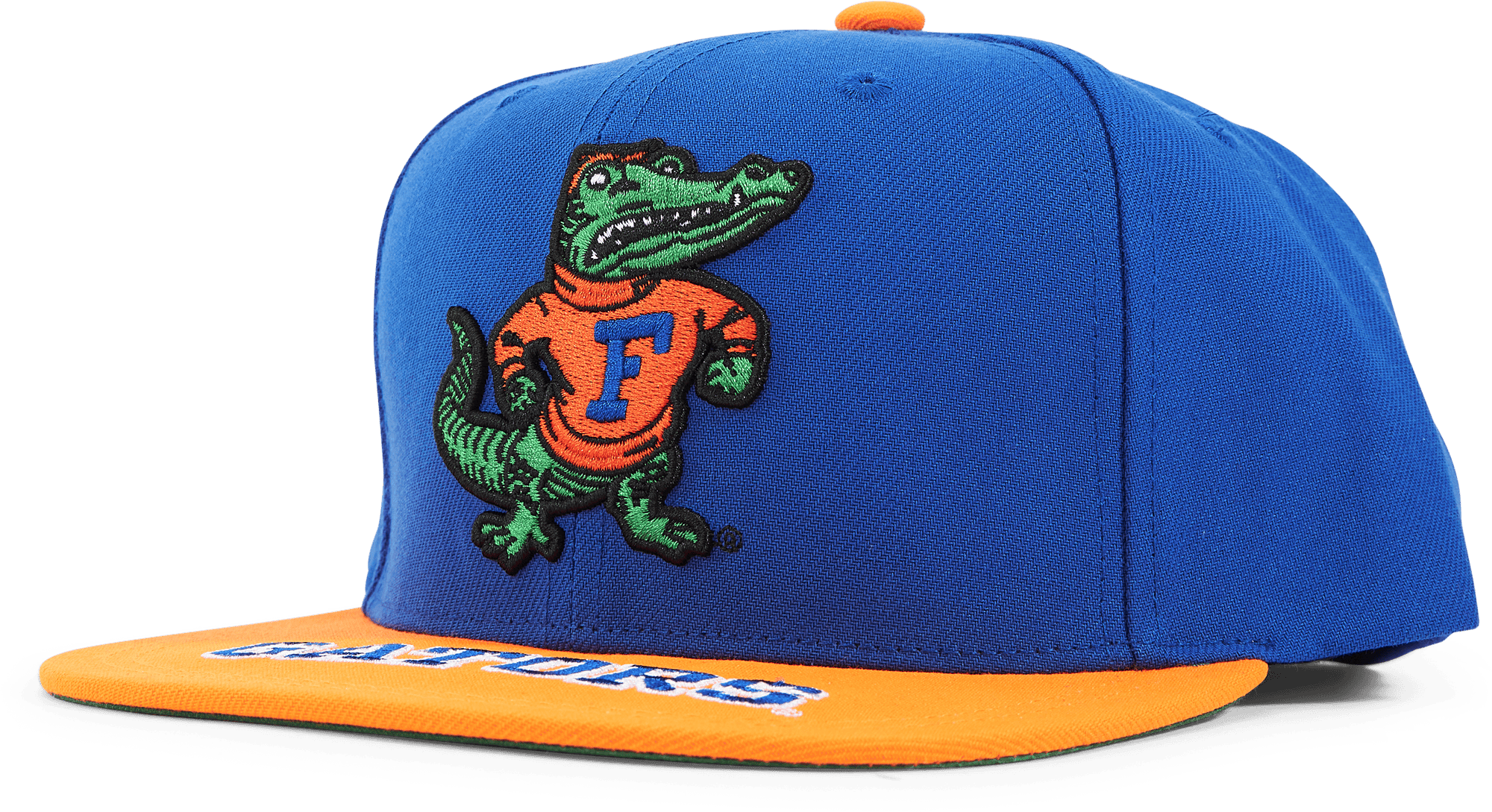 Gators Logo Bill Snapback