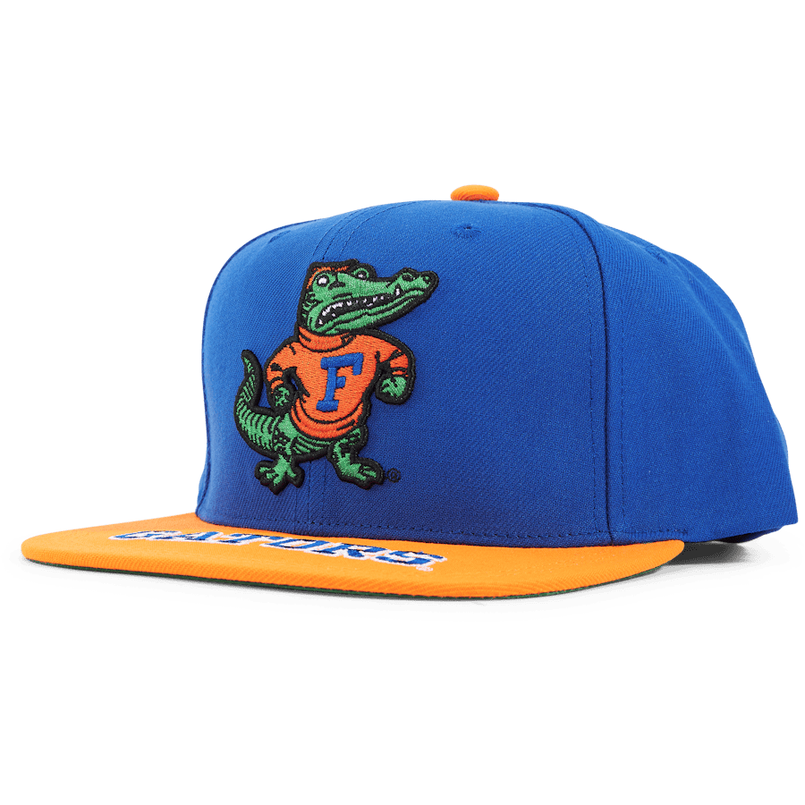 Gators Logo Bill Snapback