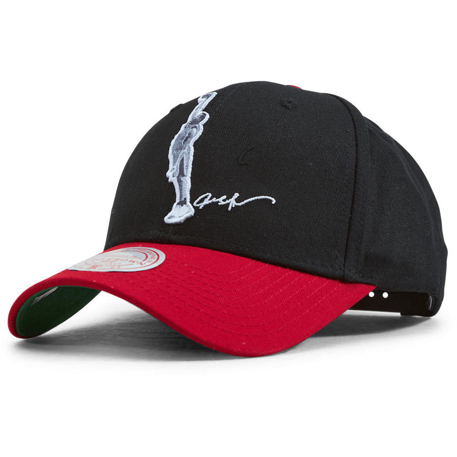 76ers Highlight Real Snapback Allen Iverson