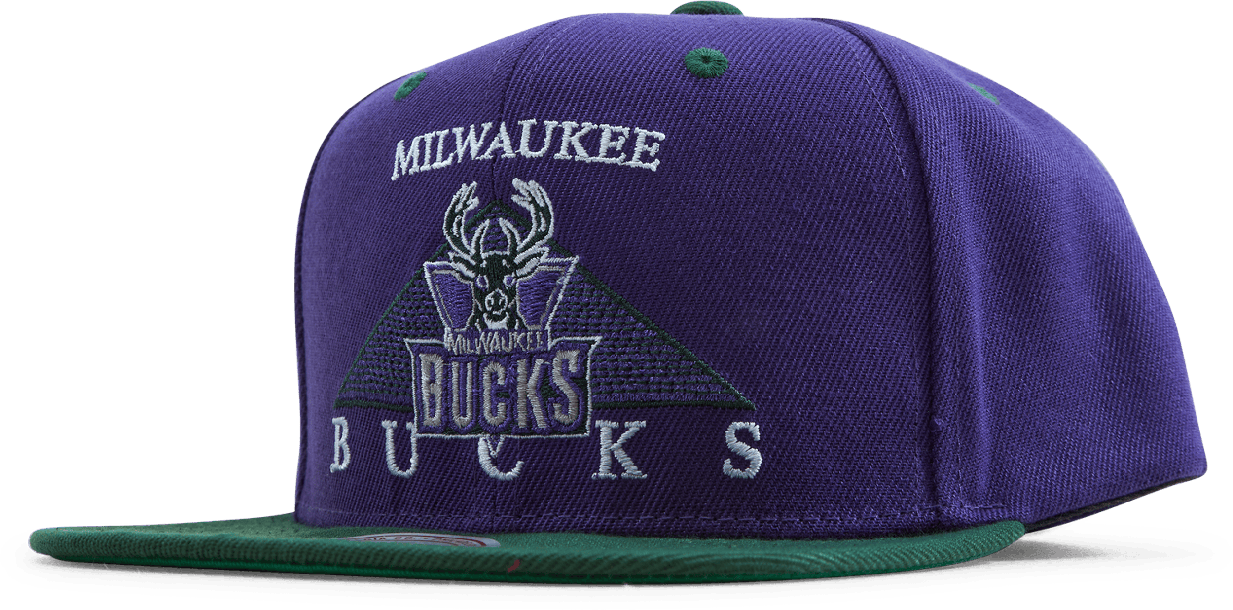 Bucks Monument Snapback HWC