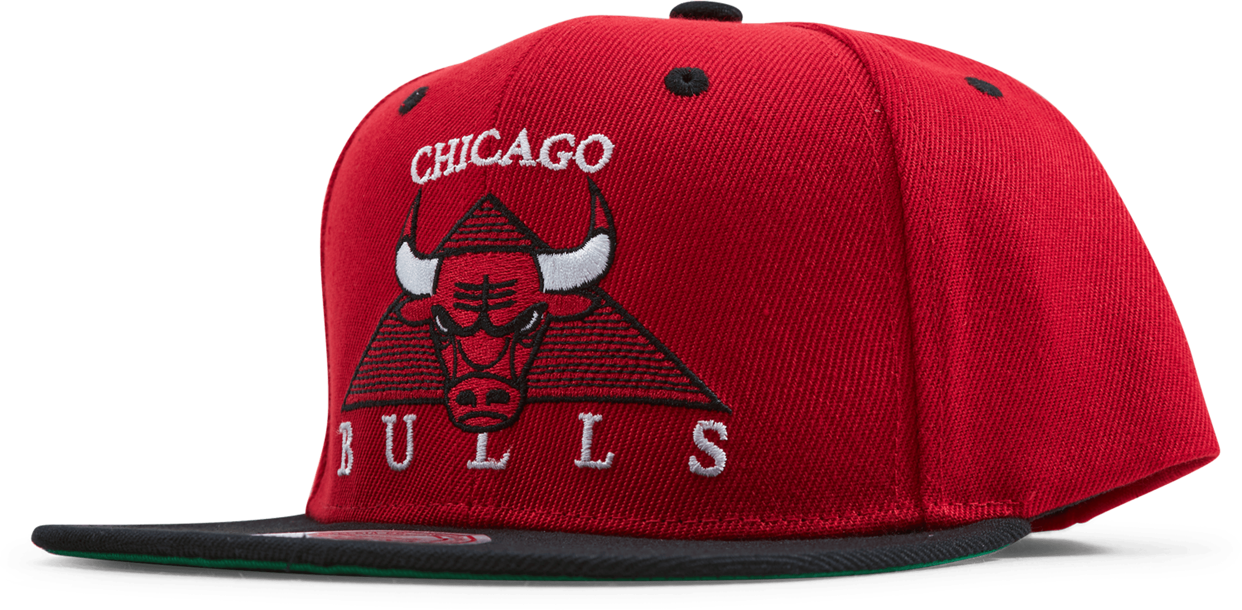 Bulls Monument Snapback