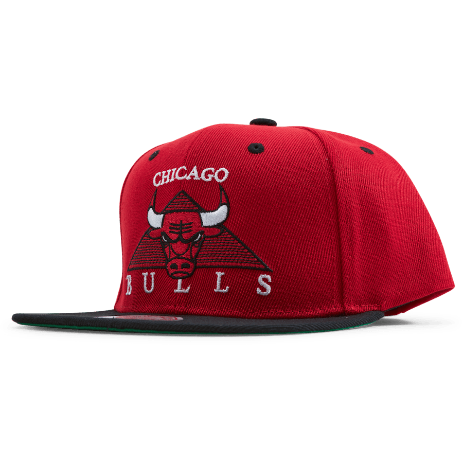 Bulls Monument Snapback