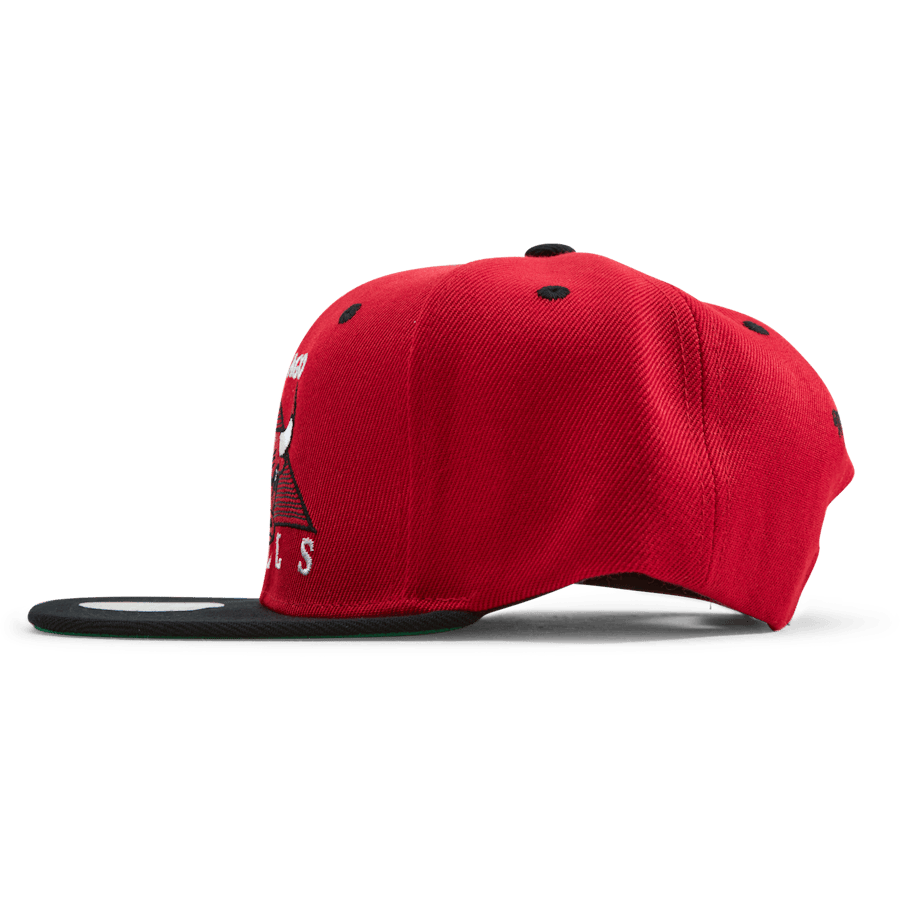 Bulls Monument Snapback - Bild 2