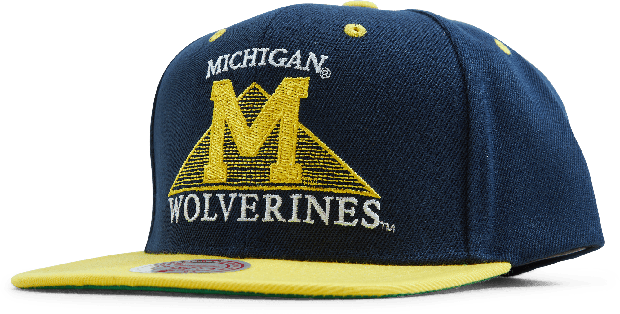 Michigan Monument Snapback